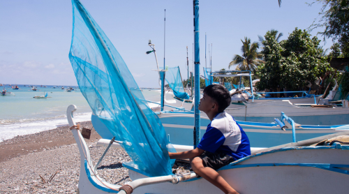 Rex and His Boat of Dreams